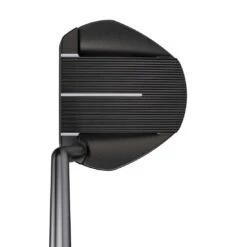 Ping 2021 Fetch Putter -Golf World Shop ping 2021 fetch putter address itempicture